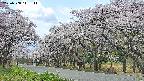 takano5-20250508111112.jpg
