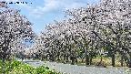 takano5-20250508115111.jpg