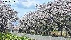 takano5-20250508134112.jpg