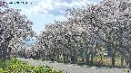 takano5-20250508144111.jpg
