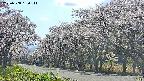 takano5-20250508150113.jpg
