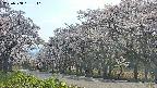 takano5-20250508151112.jpg
