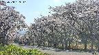 takano5-20250508153112.jpg