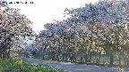 takano5-20250508174112.jpg