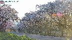 takano5-20250508175111.jpg