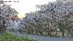 takano5-20250508184111.jpg