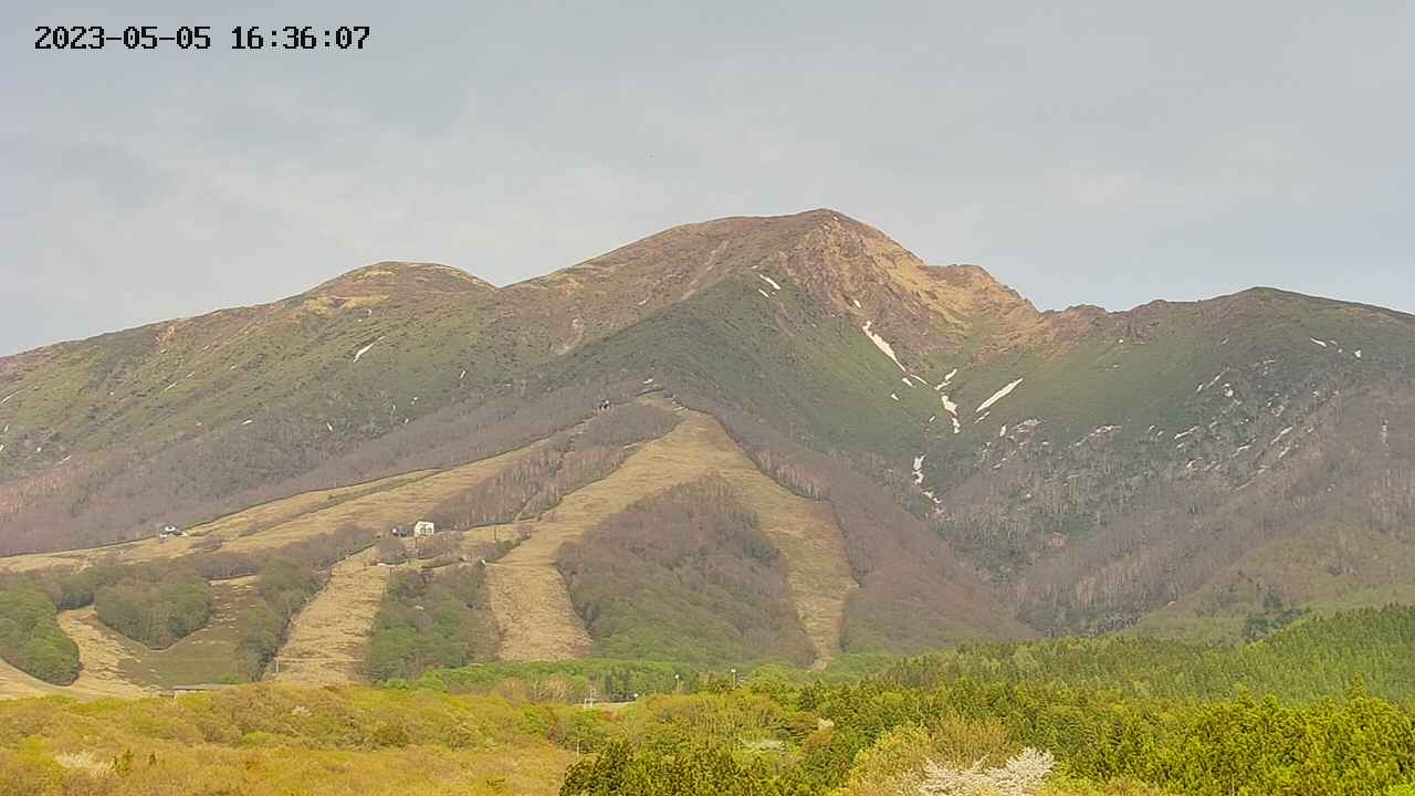 takano6-20230505163609.jpg