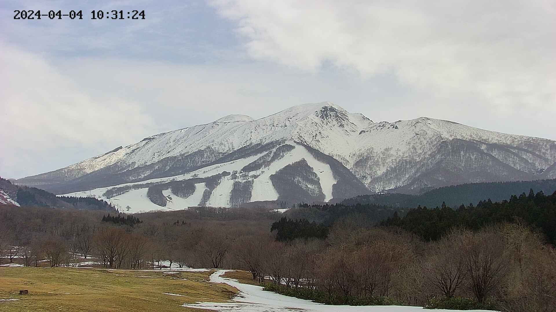 takano6-20240404103125.jpg