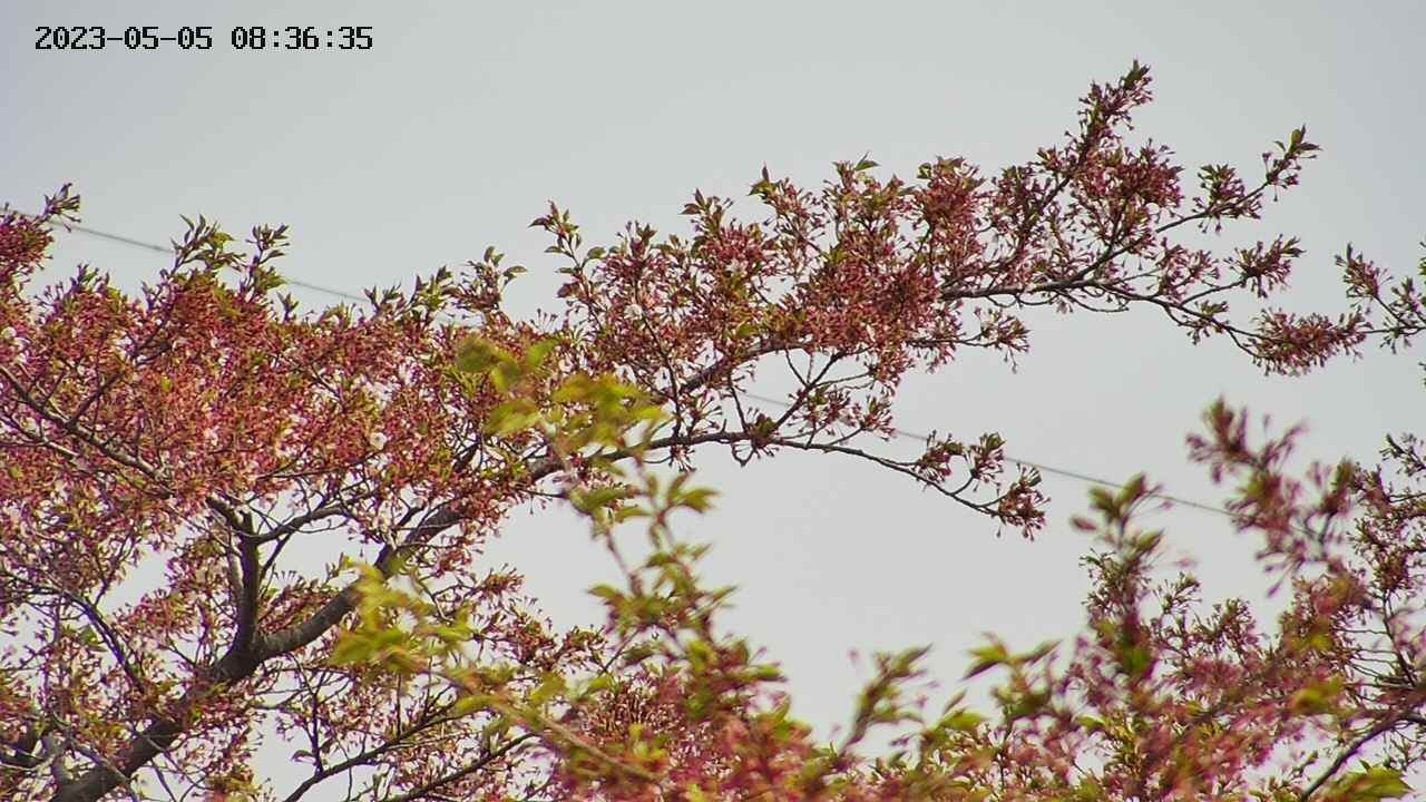 takano9-20230505083636.jpg