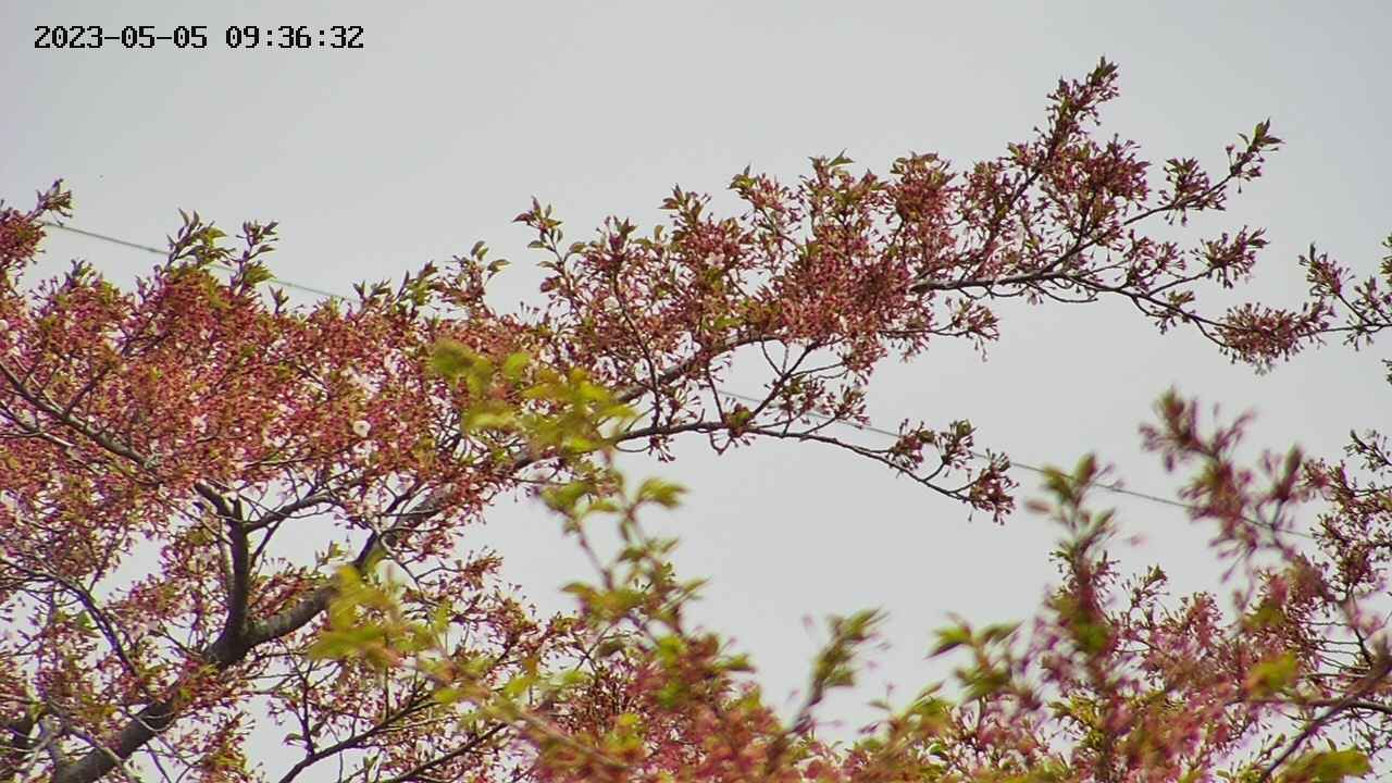takano9-20230505093634.jpg