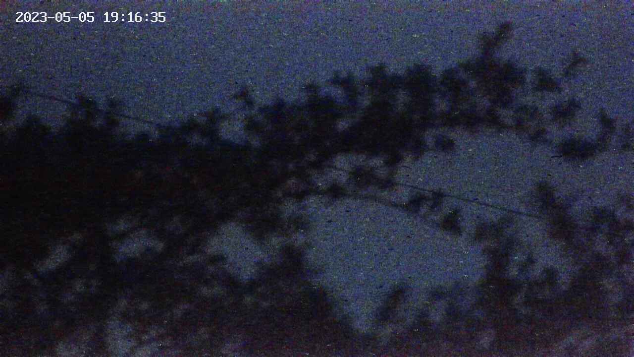 takano9-20230505191636.jpg