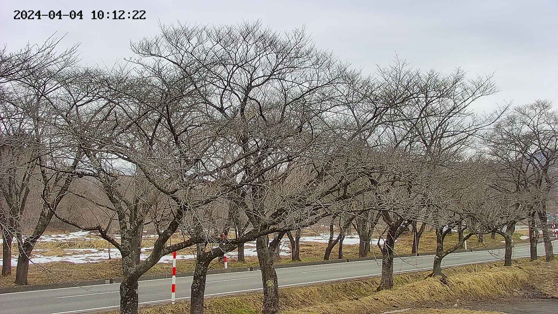 takano9-20240404101223.jpg